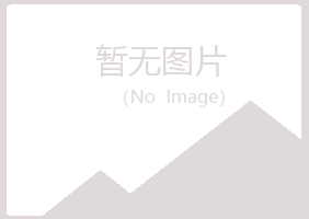 恒山区伤口音乐有限公司